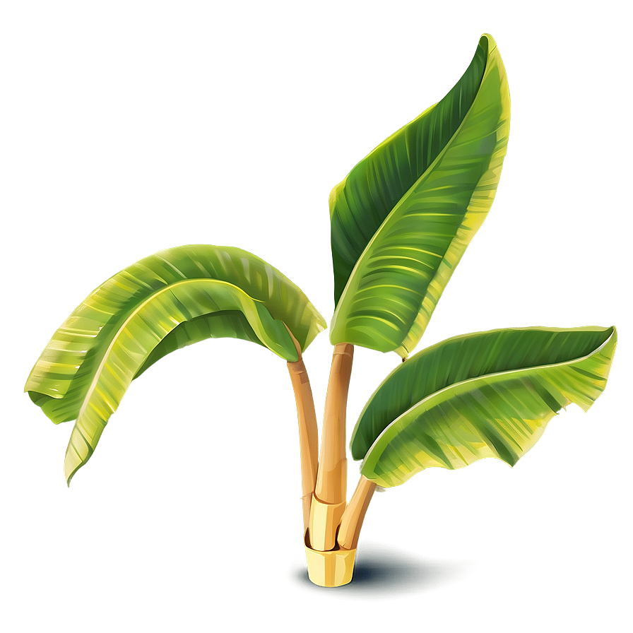 Banana Leaf Illustration Png Kwq43 PNG Image