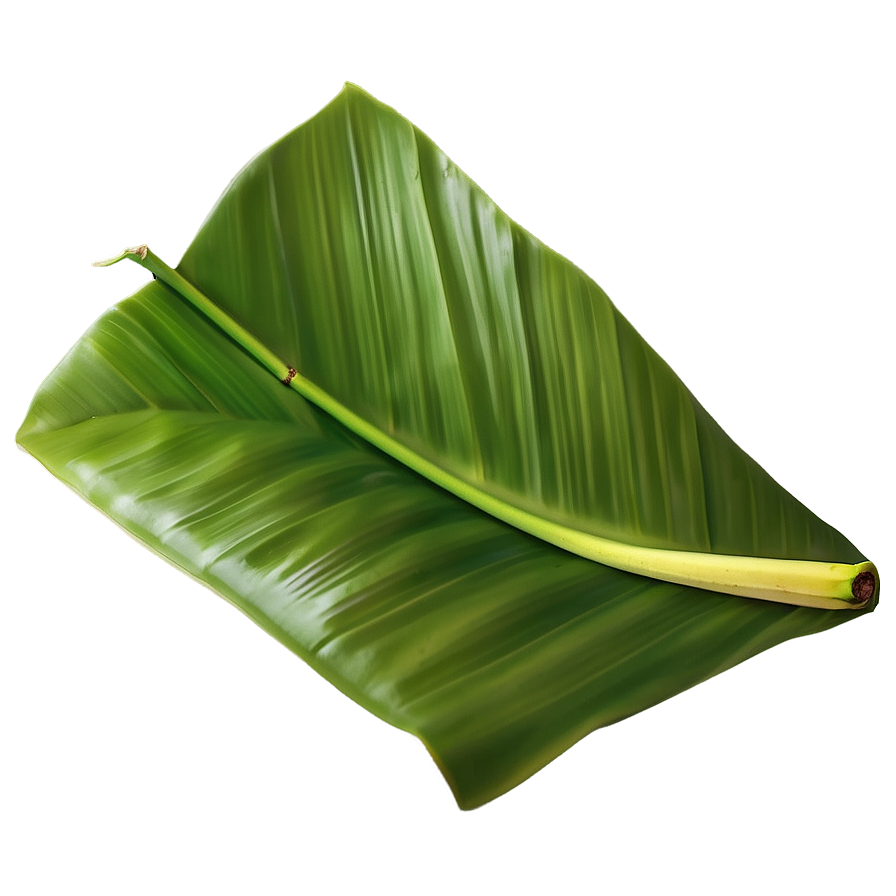 Banana Leaf Scene Png Jmv50 PNG Image