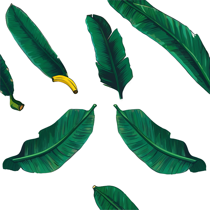 Banana Leaf Sketch Png 06232024 PNG Image