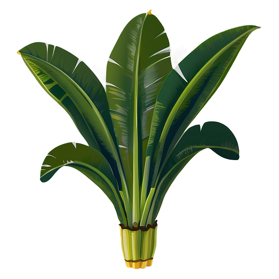 Banana Leaf Vector Png Hid11 PNG Image