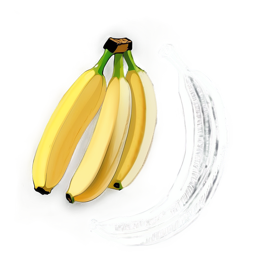 Banana Sketch Png 51 PNG Image