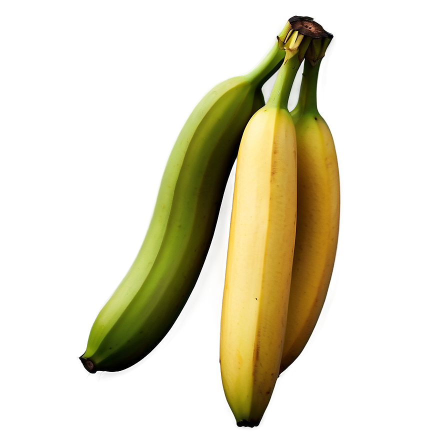 Banana With Leaves Png 06132024 PNG Image