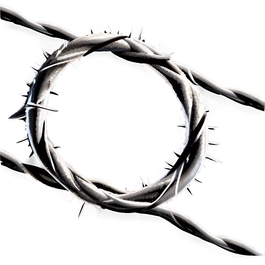 Barbed Wire Circle Png 78 PNG Image