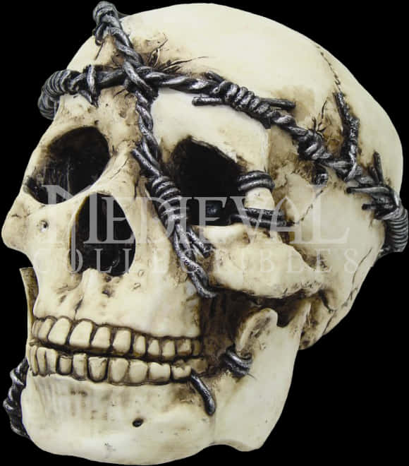 Barbed Wire Skull Decor PNG Image