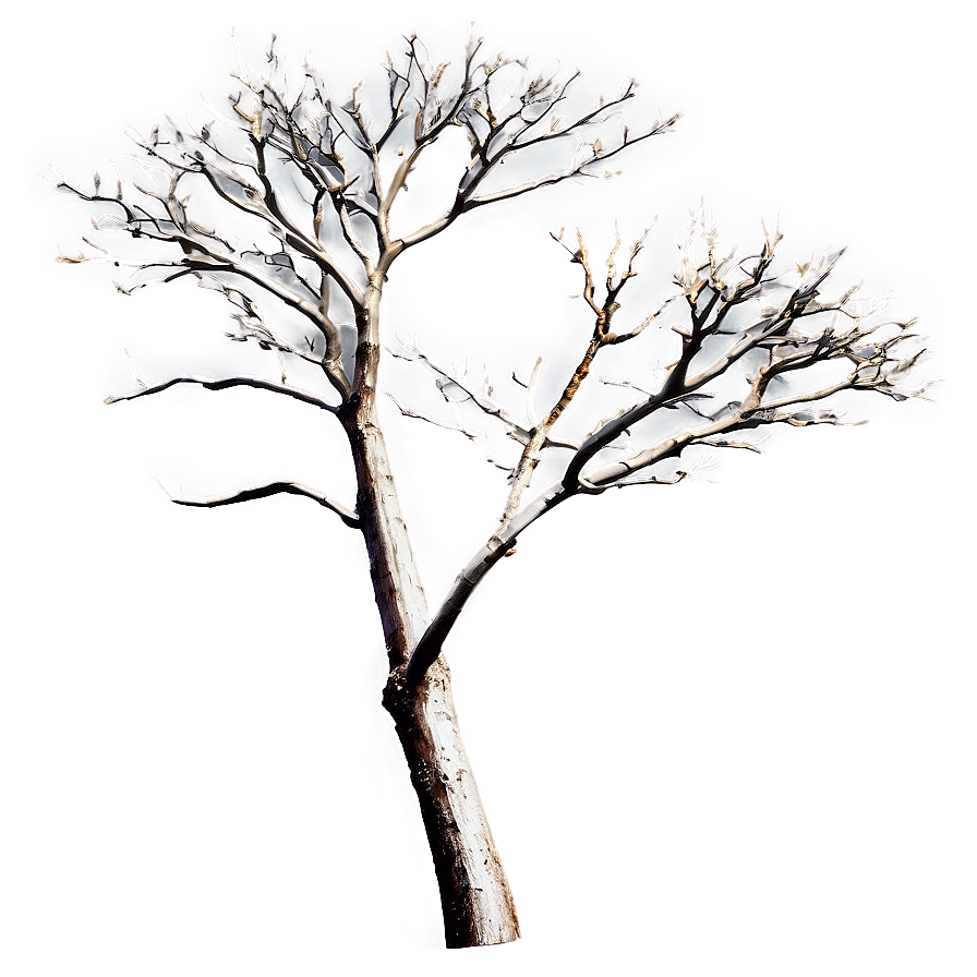 Bare Tree Branch Png Kvm PNG Image