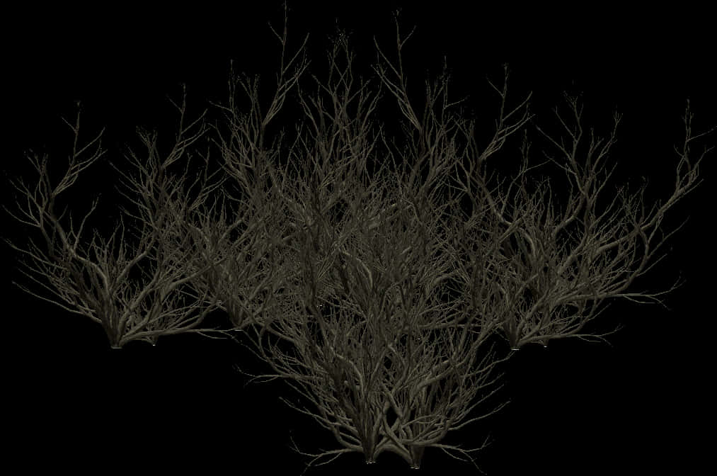 Bare_ Tree_ Branches_ Silhouette PNG Image