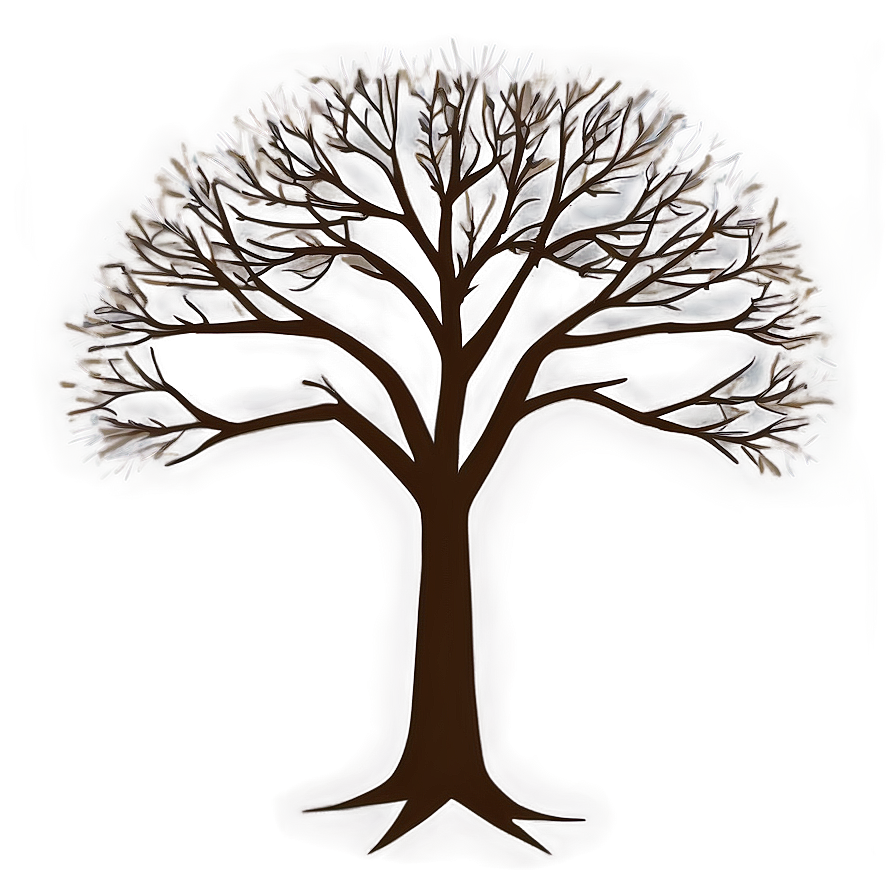 Bare Tree Drawing Png Kdu PNG Image