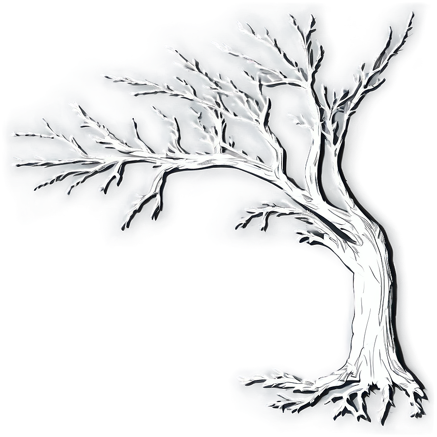 Bare Tree Shadow Png 50 PNG Image