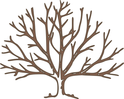 Bare Tree Silhouette PNG Image