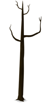 Bare Tree Silhouette Against Dark Background PNG Image