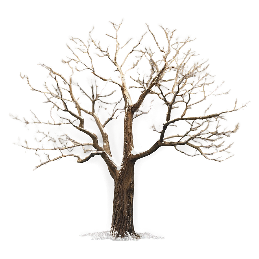 Bare Tree Without Leaves Png Ubj PNG Image