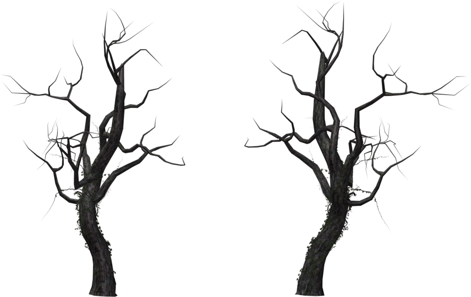 Bare Trees Against Sky PNG Image