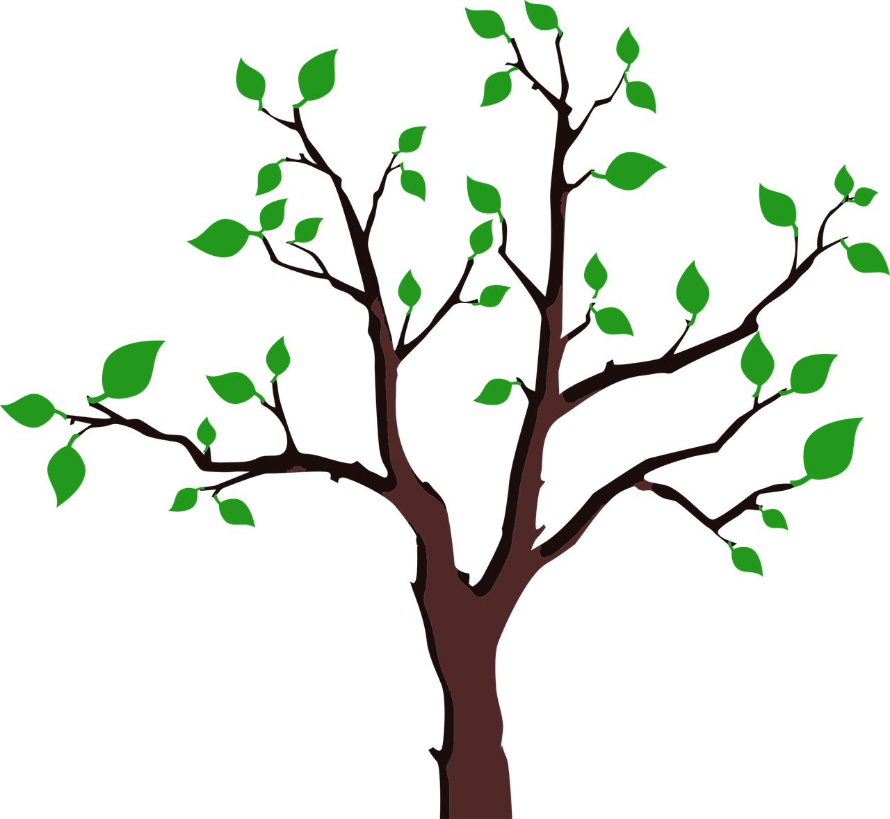 Bare Treewith Spring Leaves PNG Image