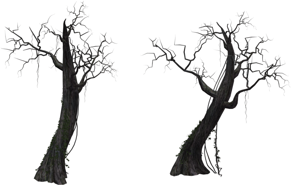 Bare Twisted Trees Silhouette PNG Image