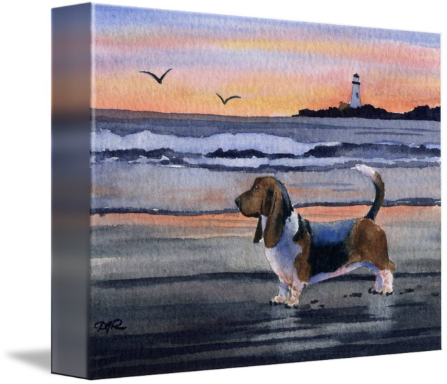 Basset Hound Beach Sunset PNG Image