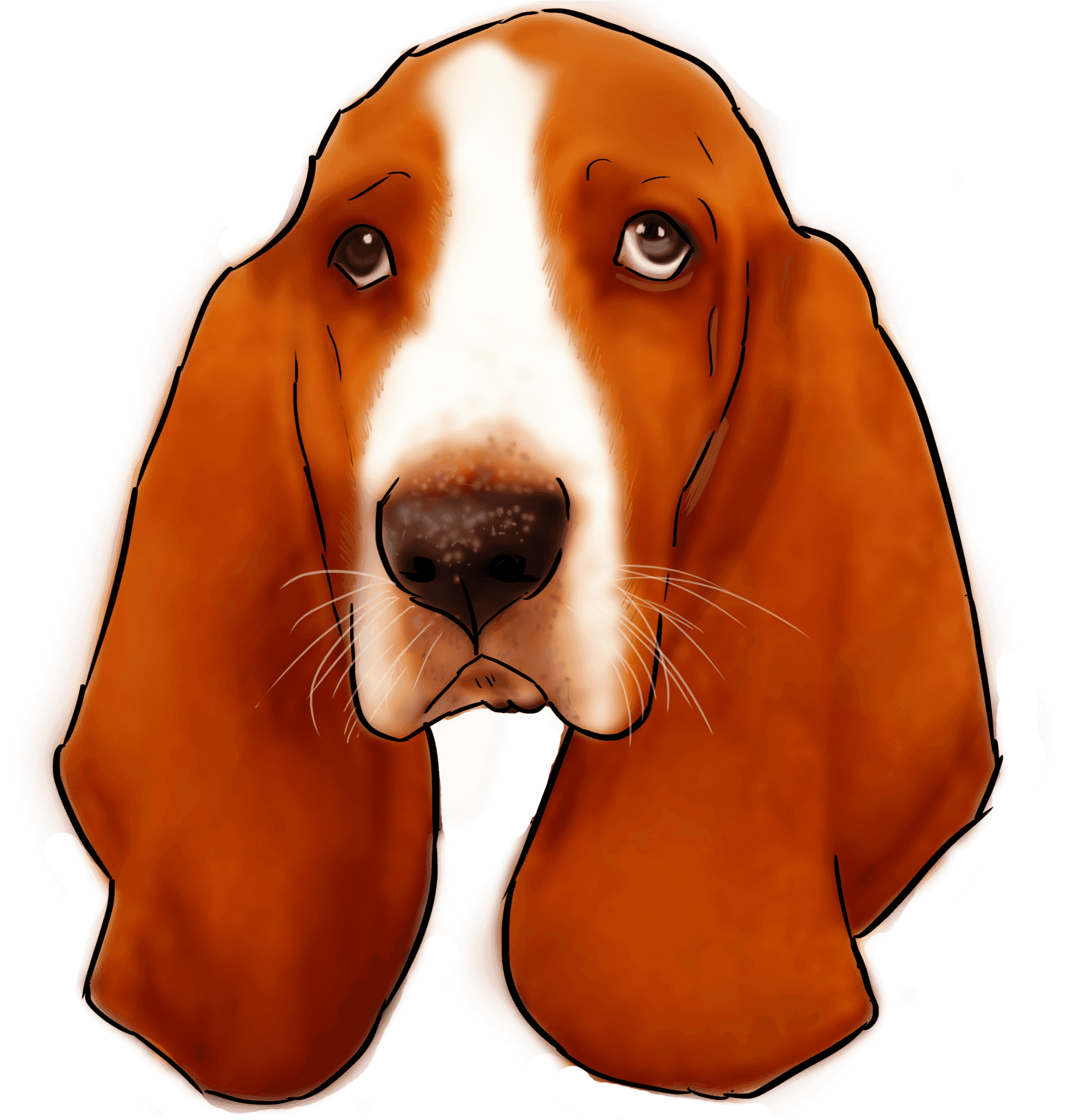 Basset Hound Portrait Illustration PNG Image