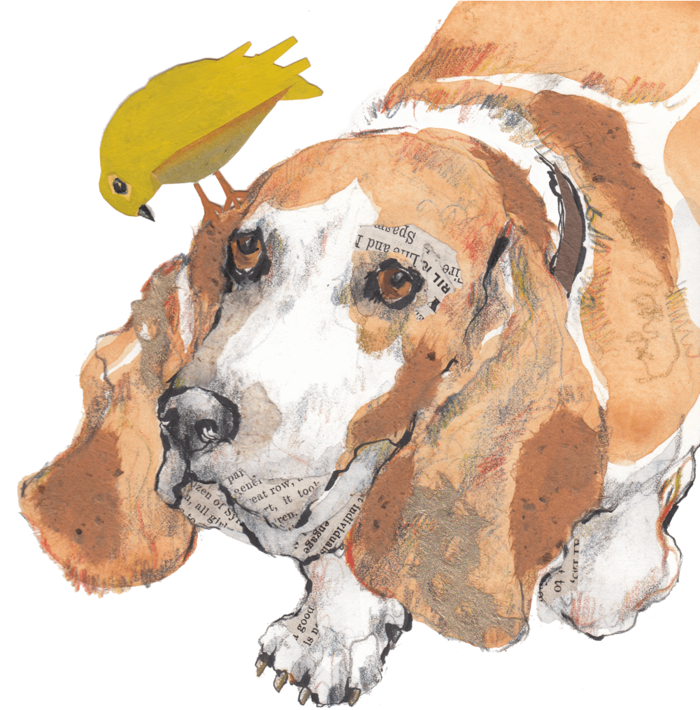 Basset Houndand Bird Artwork PNG Image