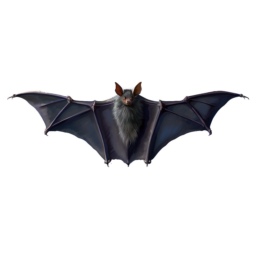 Bat Wings Png 2 PNG Image