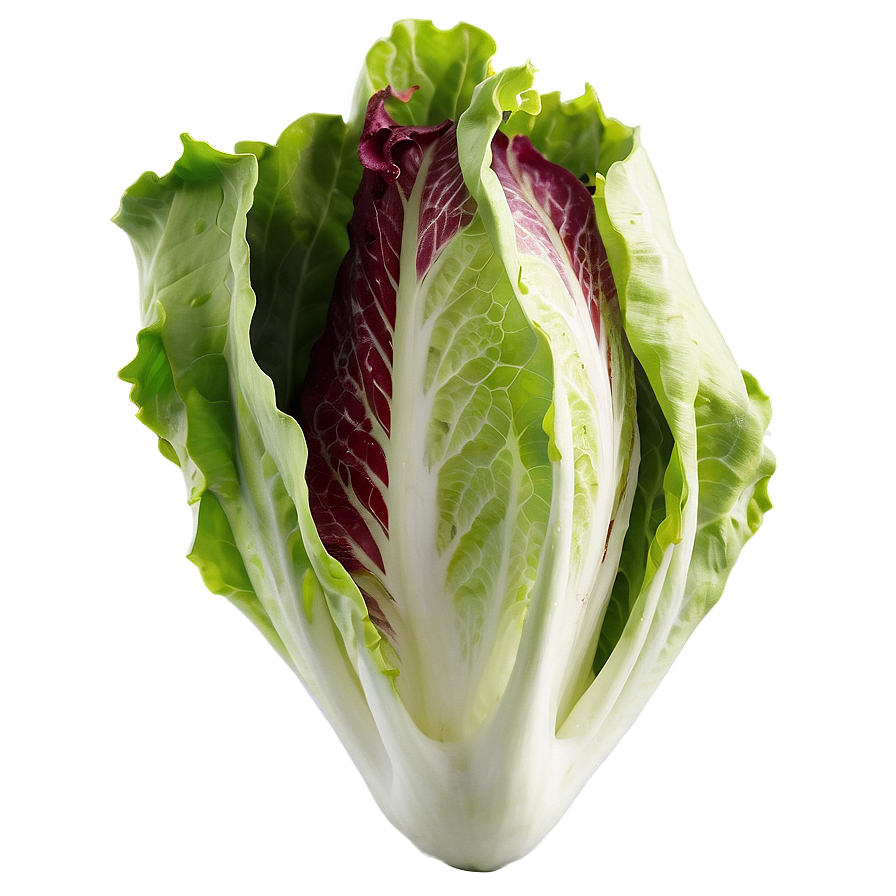 Batavia Lettuce Png Jgh PNG Image