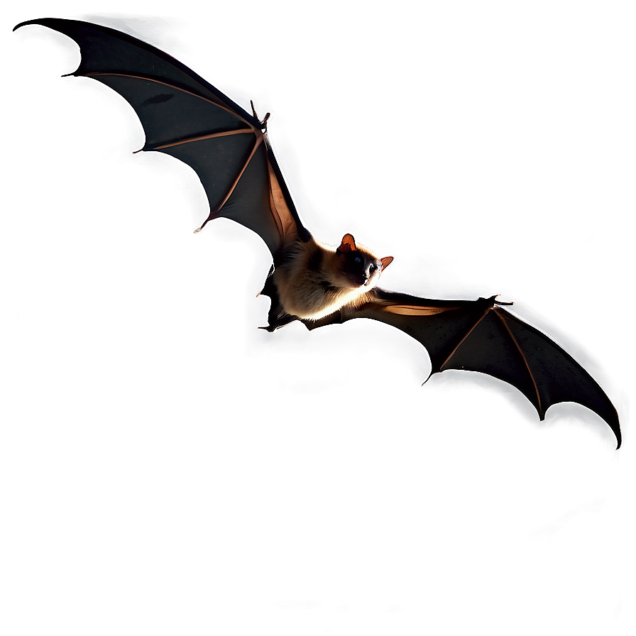 Bats Flying In Dusk Png Tdx PNG Image