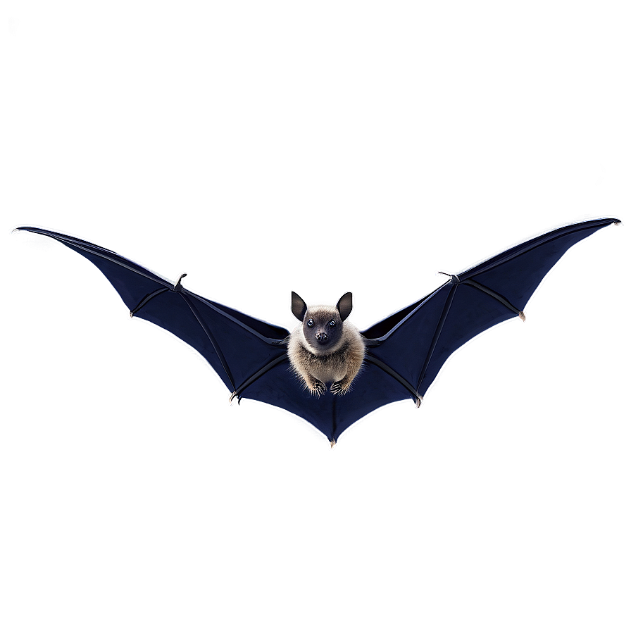 Bats Swarm Overlay Png 05232024 PNG Image