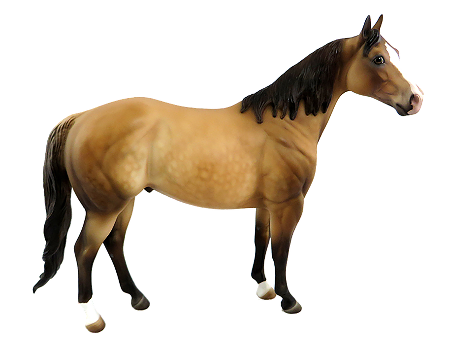 Bay Horse Standing Transparent Background PNG Image