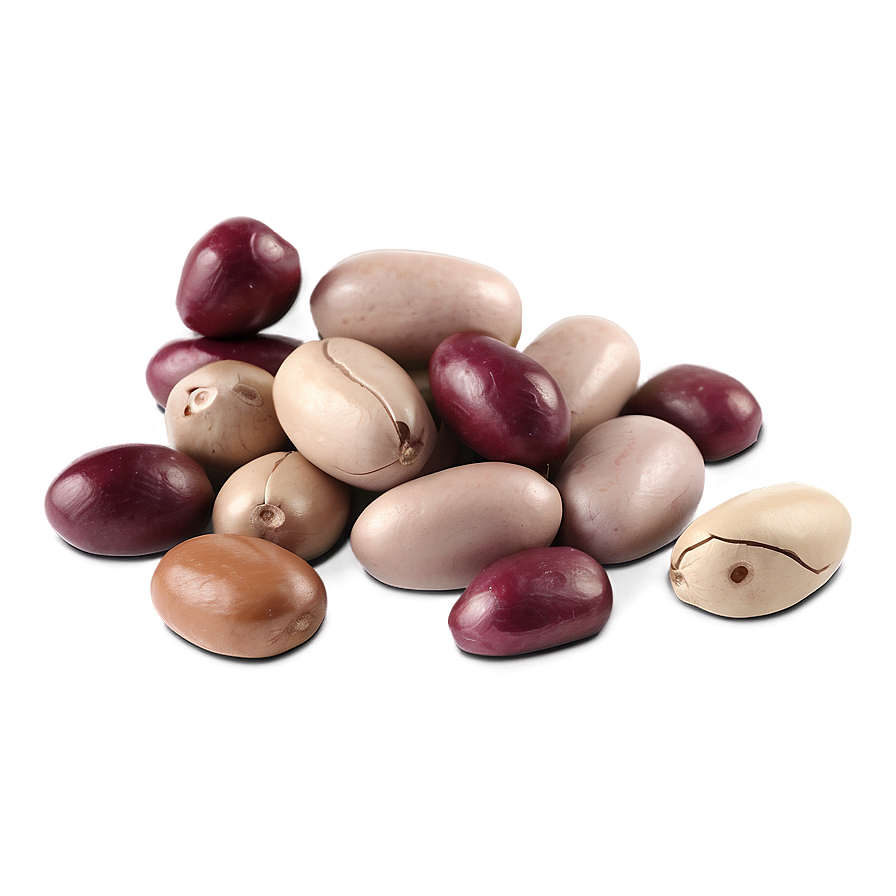 Beans Animation Png Qvs11 PNG Image