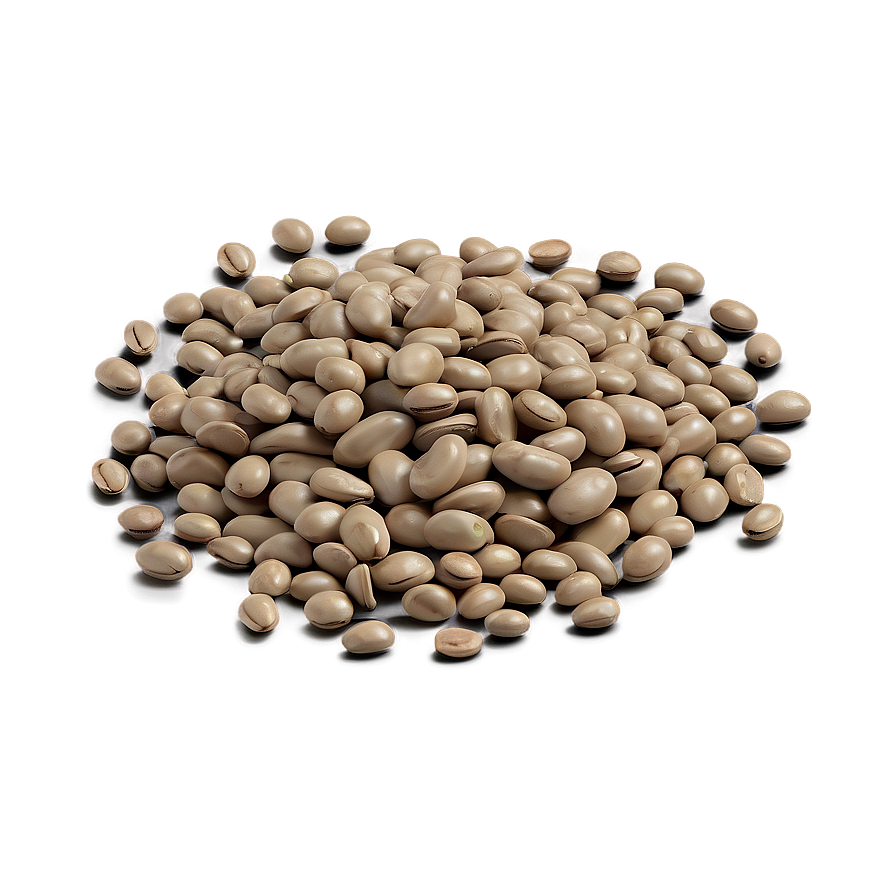 Beans Can Illustration Png 31 PNG Image