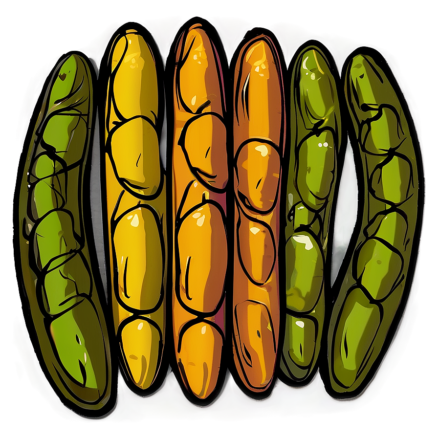 Beans Can Illustration Png Eum97 PNG Image