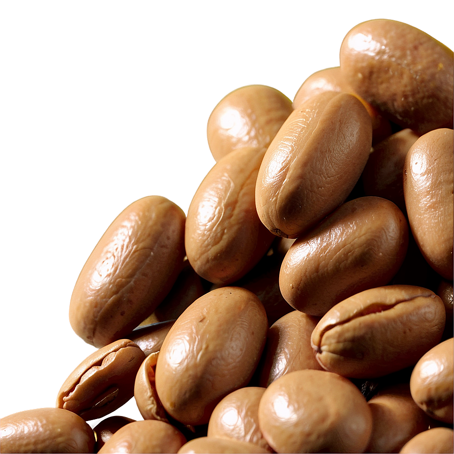 Beans Cartoon Png Vxx PNG Image