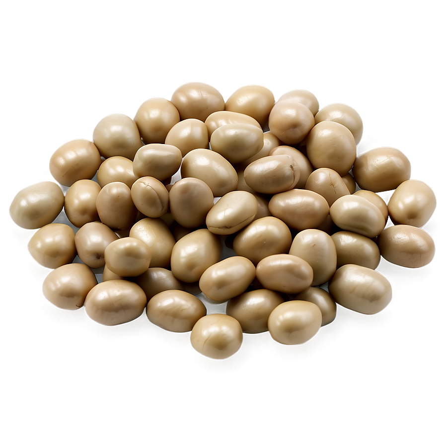 Beans Clipart Png 05242024 PNG Image