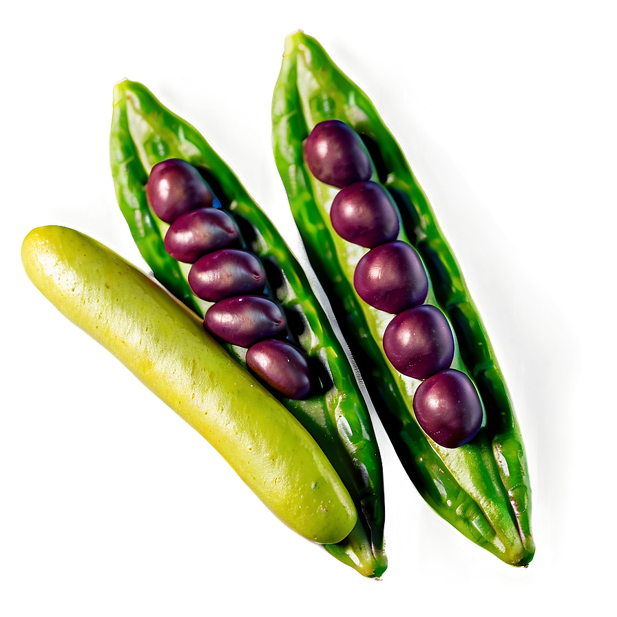 Beans Harvest Png 22 PNG Image