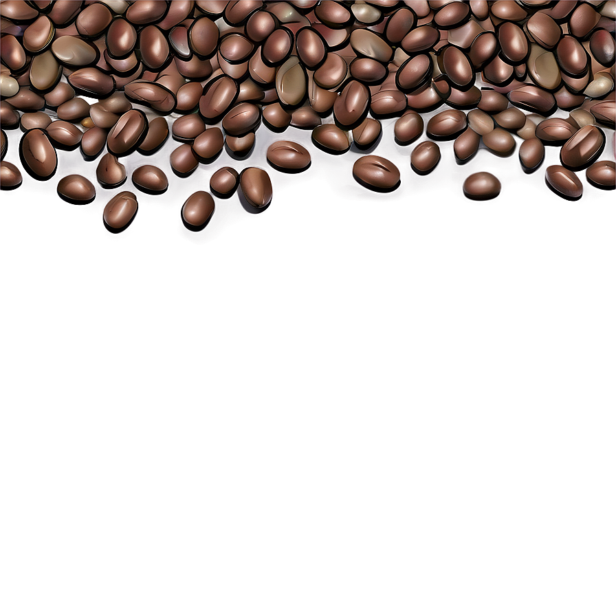 Beans Sketch Png 58 PNG Image