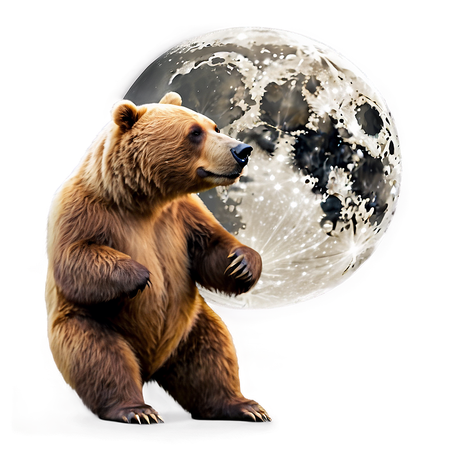 Bear And Moon Png 18 PNG Image