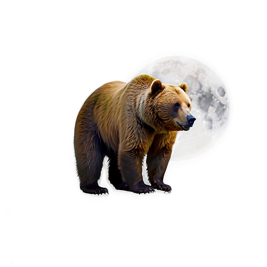 Bear And Moon Png Wxi36 PNG Image