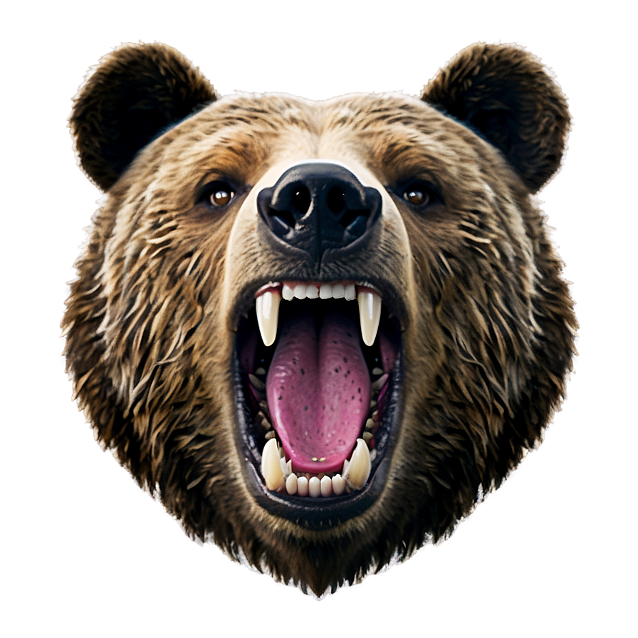 Bear Face Emoji Png 05032024 PNG Image