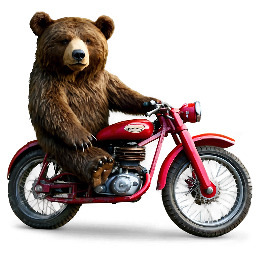 Bear On Bike Png Qmc86 PNG Image