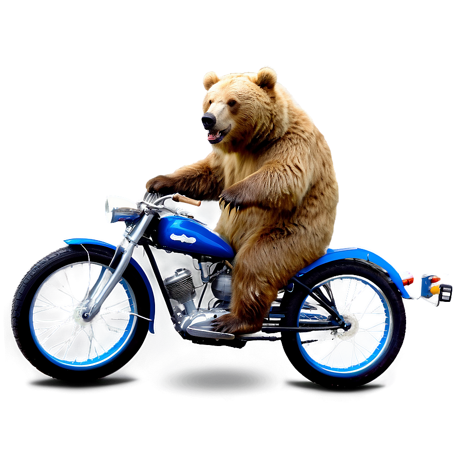 Bear On Bike Png Tue11 PNG Image