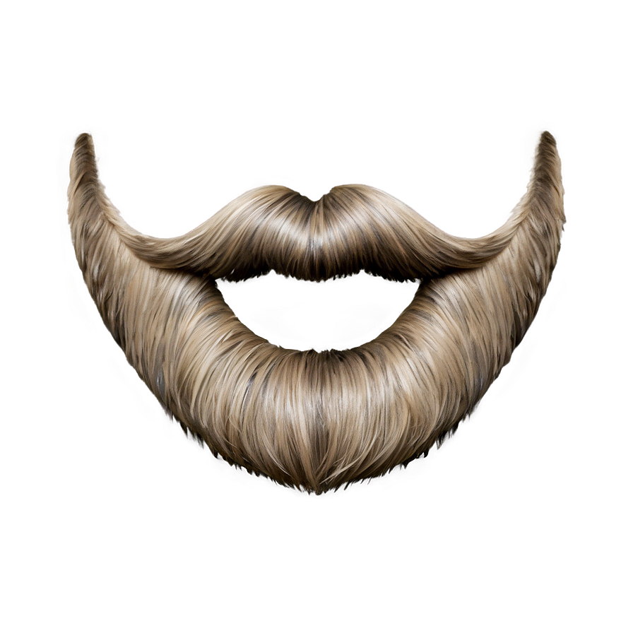 Beard B PNG Image