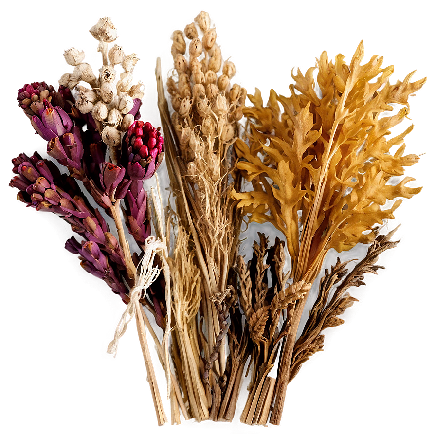 Beautiful Dried Bouquets Png Mhf PNG Image