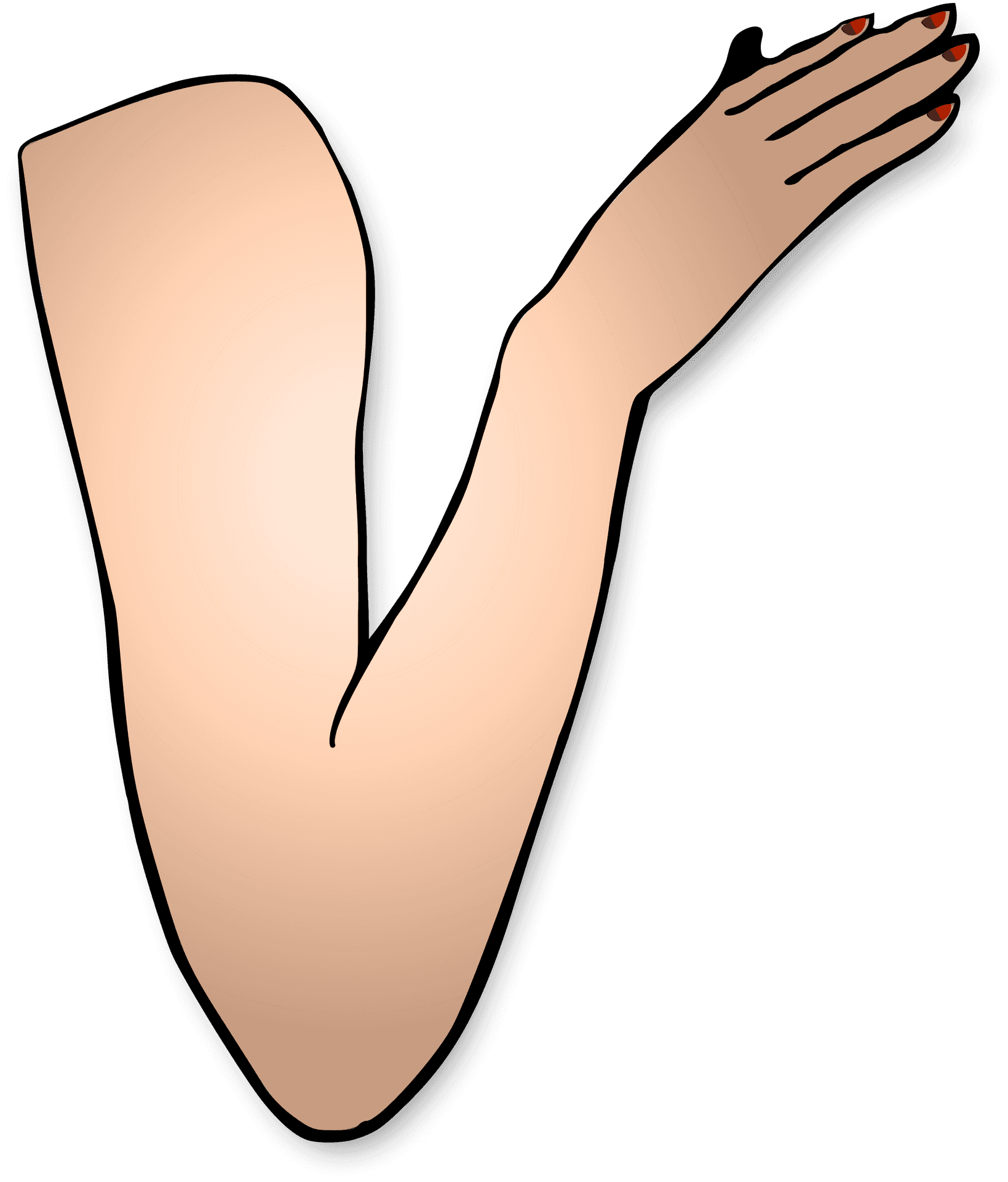 Bent Arm Illustration.png PNG Image