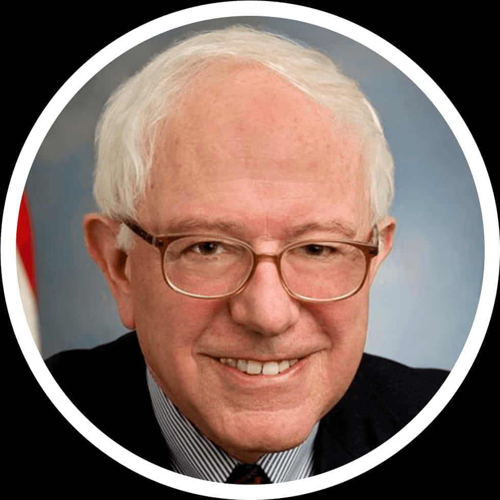 Bernie Sanders Portrait PNG Image