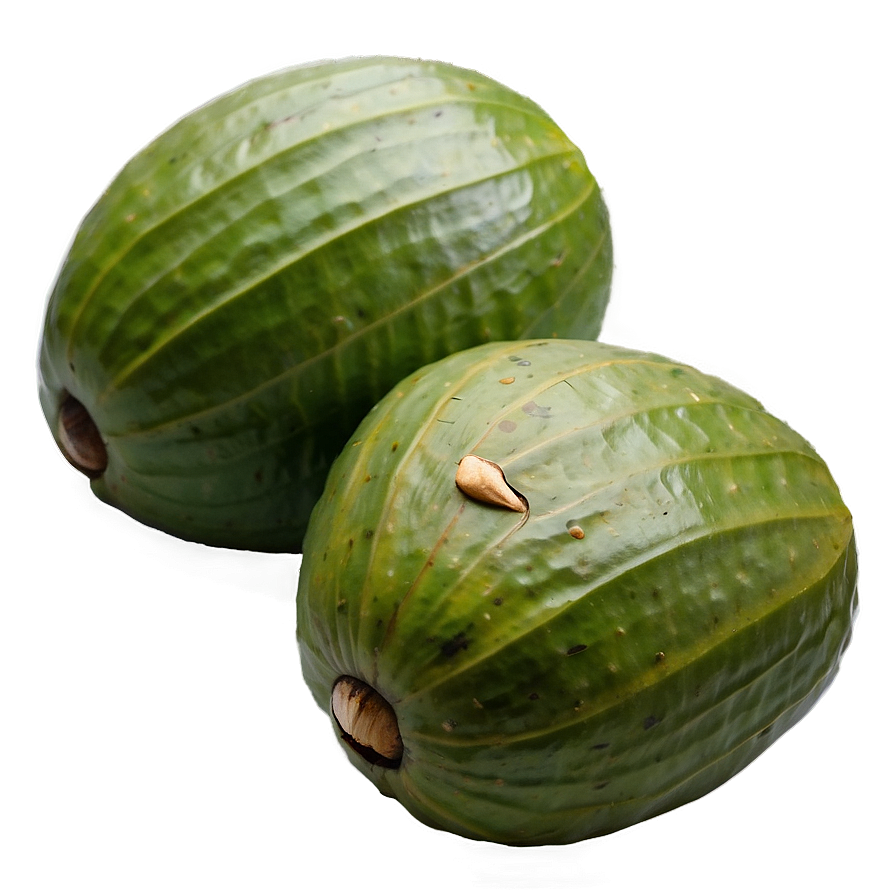 Betel Nut Png Euq26 PNG Image