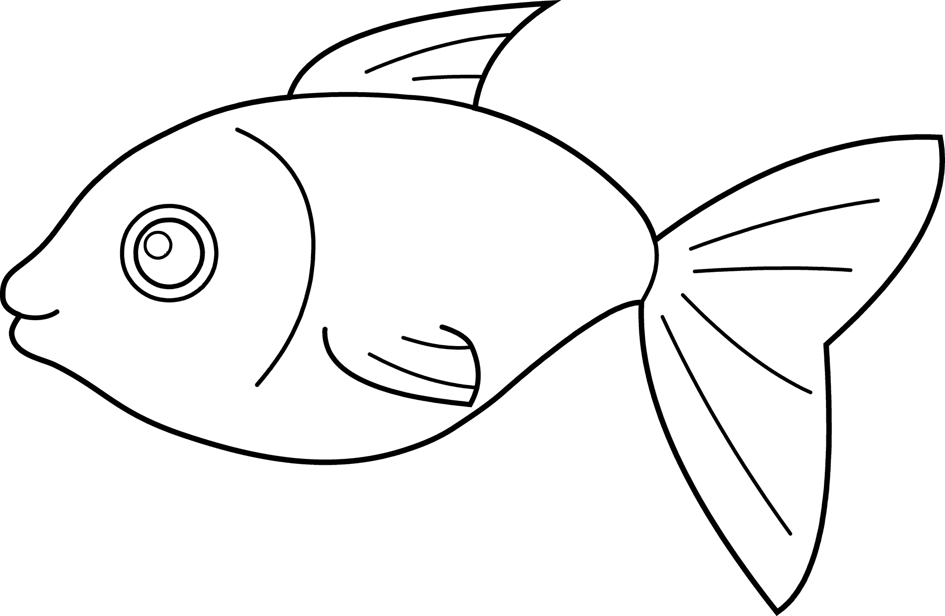 Betta Fish Line Art Illustration PNG Image