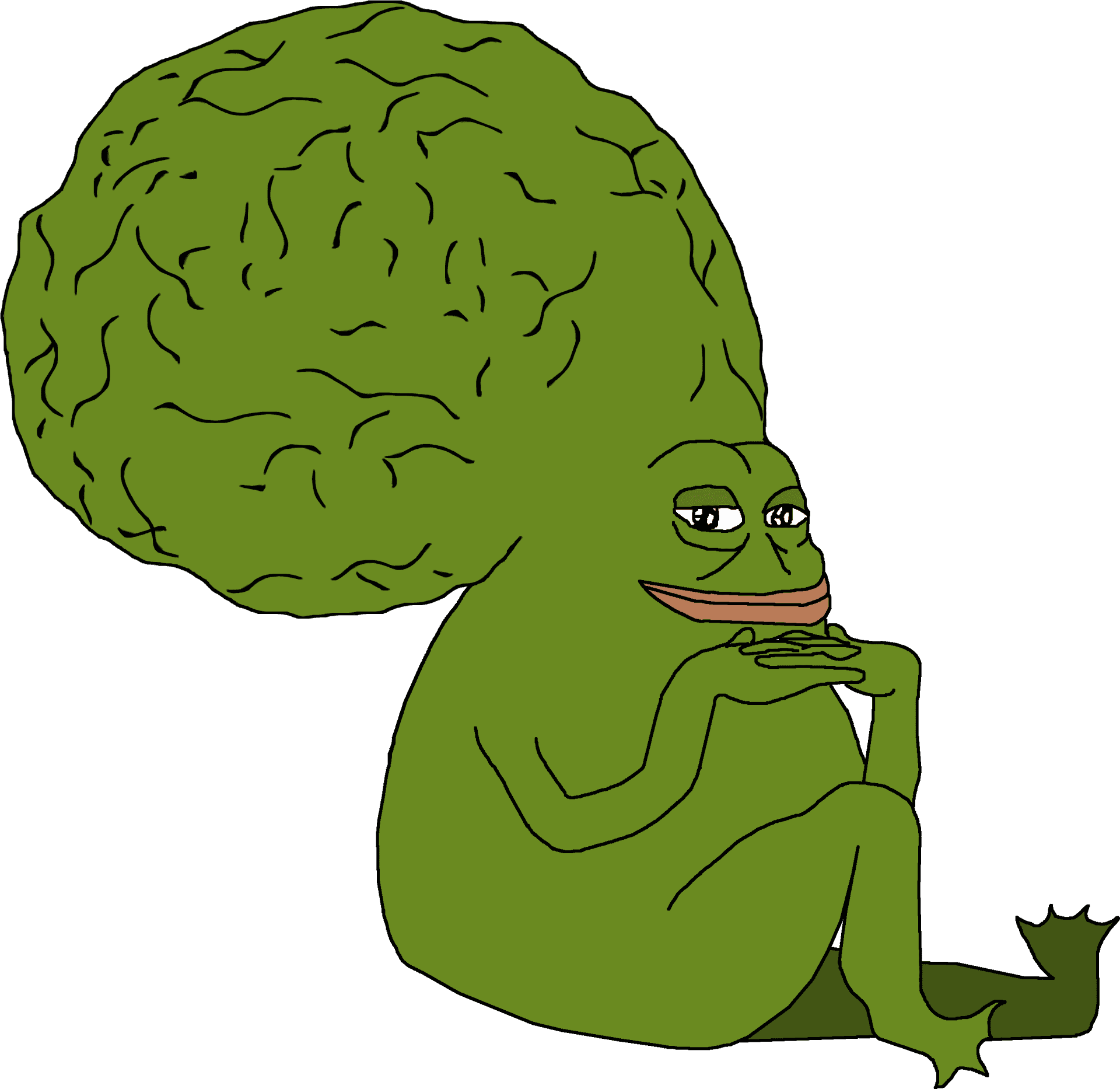 Big Brained Pepe Frog.png PNG Image