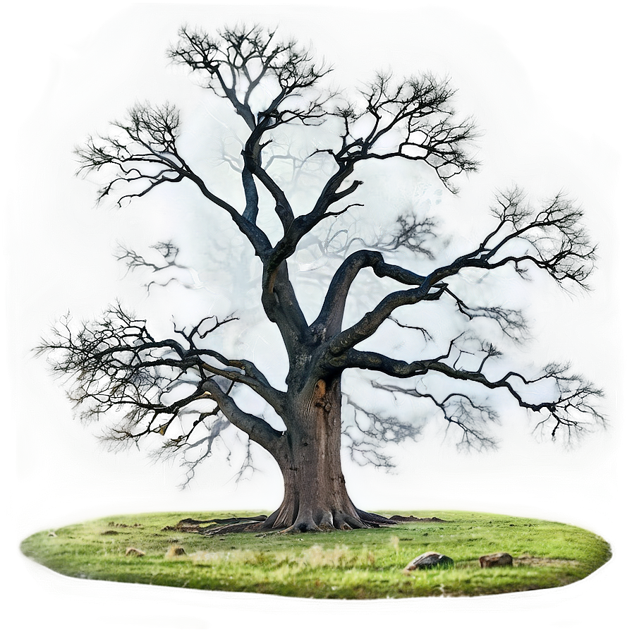 Big Tree In Foggy Landscape Png Lhq PNG Image