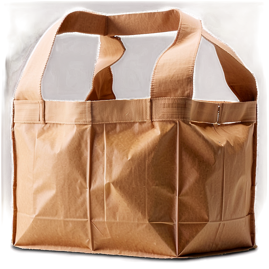 Biodegradable Grocery Bag Png 85 PNG Image