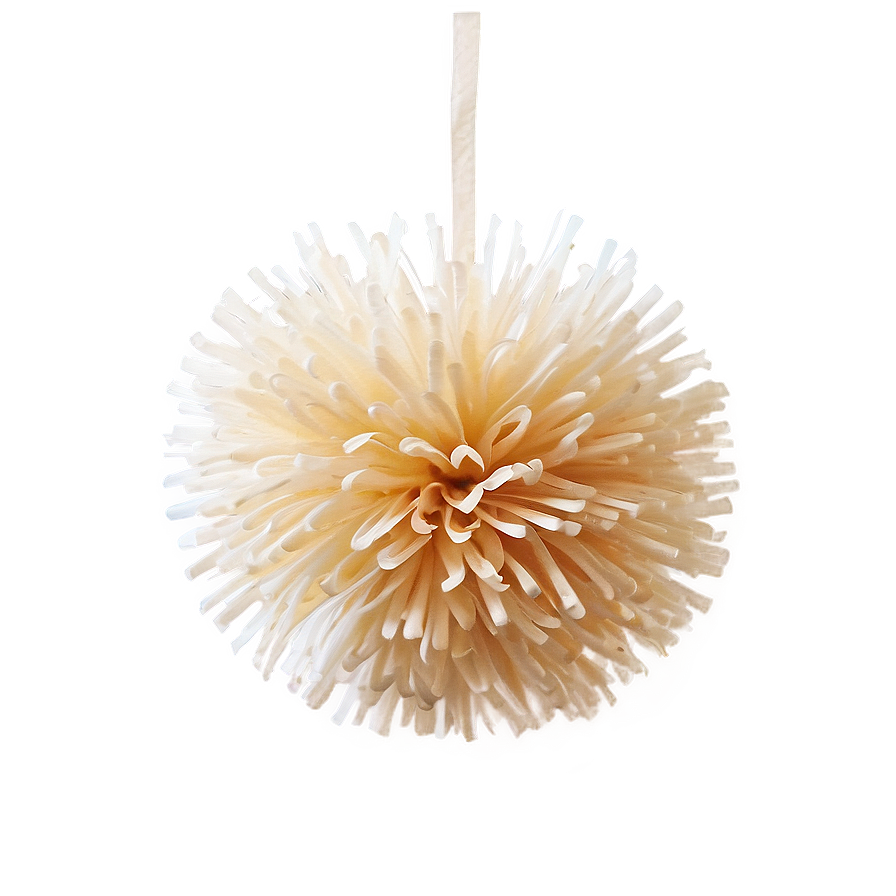 Biodegradable Pom Poms Png 06132024 PNG Image