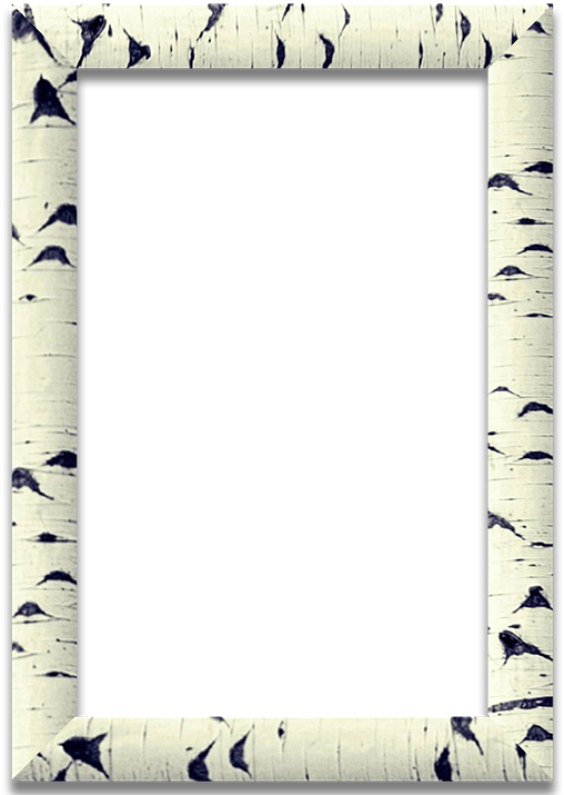 Birch Texture Frame Template PNG Image