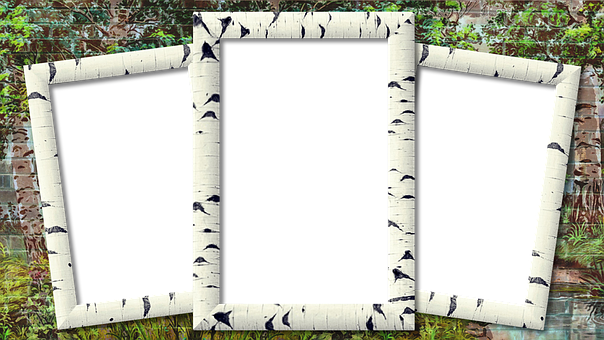 Birch Triptych Frames Garden Background PNG Image